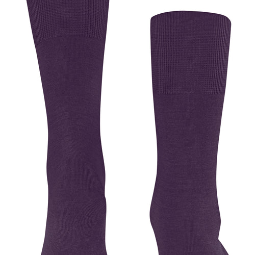 Airport Airport Sock | Wine Berry 14435-8860