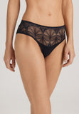 Holly Lace Hi-Cut Briefs | Black 70824-019