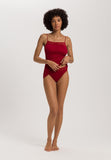 Moments Hi Cut Brief | Red Dahlia 71481-2418