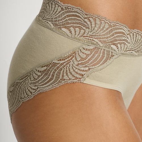 Cotton Delight Lace Trim Cotton High Cut Brief | Olive Stem 71835-2661