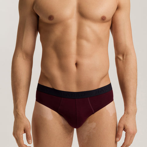 Cotton Essentials Briefs 2-Pack | Barolo / Ombre Blue 73075-3047