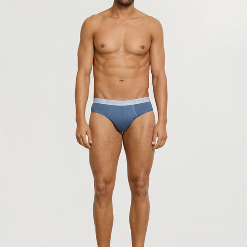 Cotton Essentials 2-Pack Cotton Briefs | Studio Green / Retro Bl 73075-3117