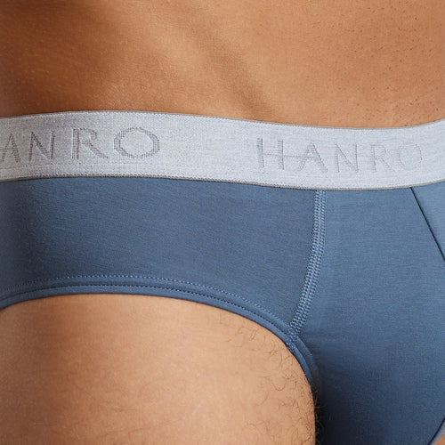 Cotton Essentials 2-Pack Cotton Briefs | Studio Green / Retro Bl 73075-3117