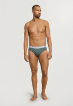 Cotton Essentials 2-Pack Cotton Briefs | Studio Green / Retro Bl 73075-3117