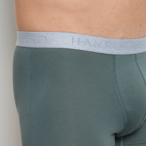 Cotton Essentials 2-Pack Cotton Boxer Briefs | Studio Green / Retro Bl 73078-3117