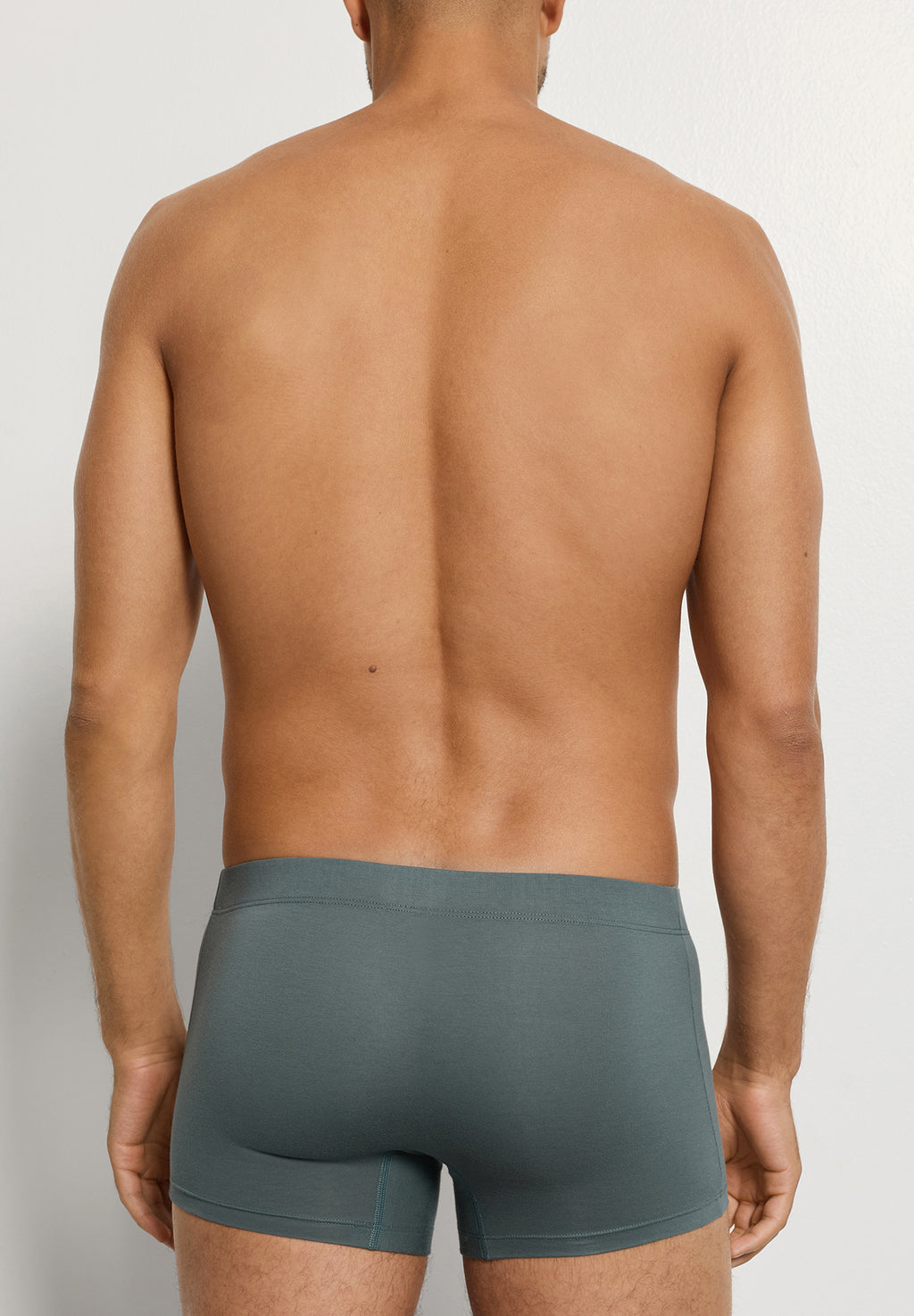 Cotton Essentials 2-Pack Cotton Boxer Brief With Covered Waistband | Studio Green / Retro Bl 73079-3117