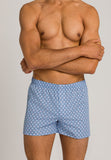 74013 Fancy Woven Boxer - 1252 Modern Tie