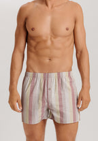 Fancy Woven Boxer | Bluewood Stripe 74013-3019