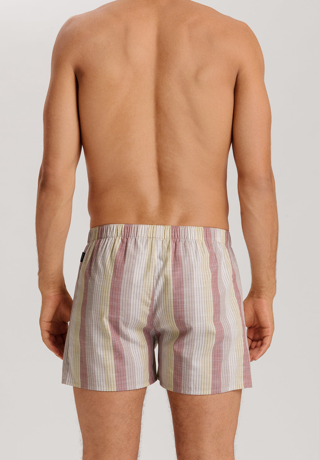 Fancy Woven Boxer | Bluewood Stripe 74013-3019