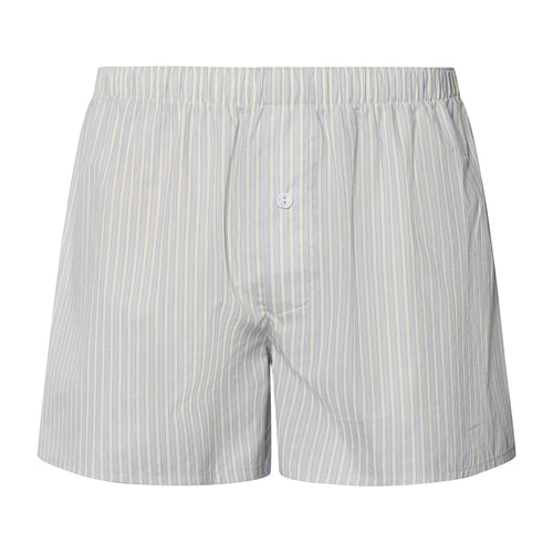 Fancy Woven Boxer | Light Stripe 74013-3028