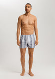 Fancy Woven Boxer | Smokey Blue Stripe 74013-3039
