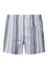 Fancy Woven Boxer | Smokey Blue Stripe 74013-3039