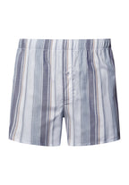 Fancy Woven Boxer | Smokey Blue Stripe 74013-3039