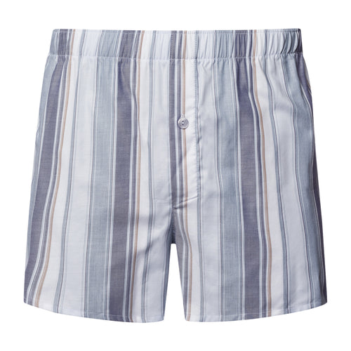 Fancy Woven Boxer | Smokey Blue Stripe 74013-3039