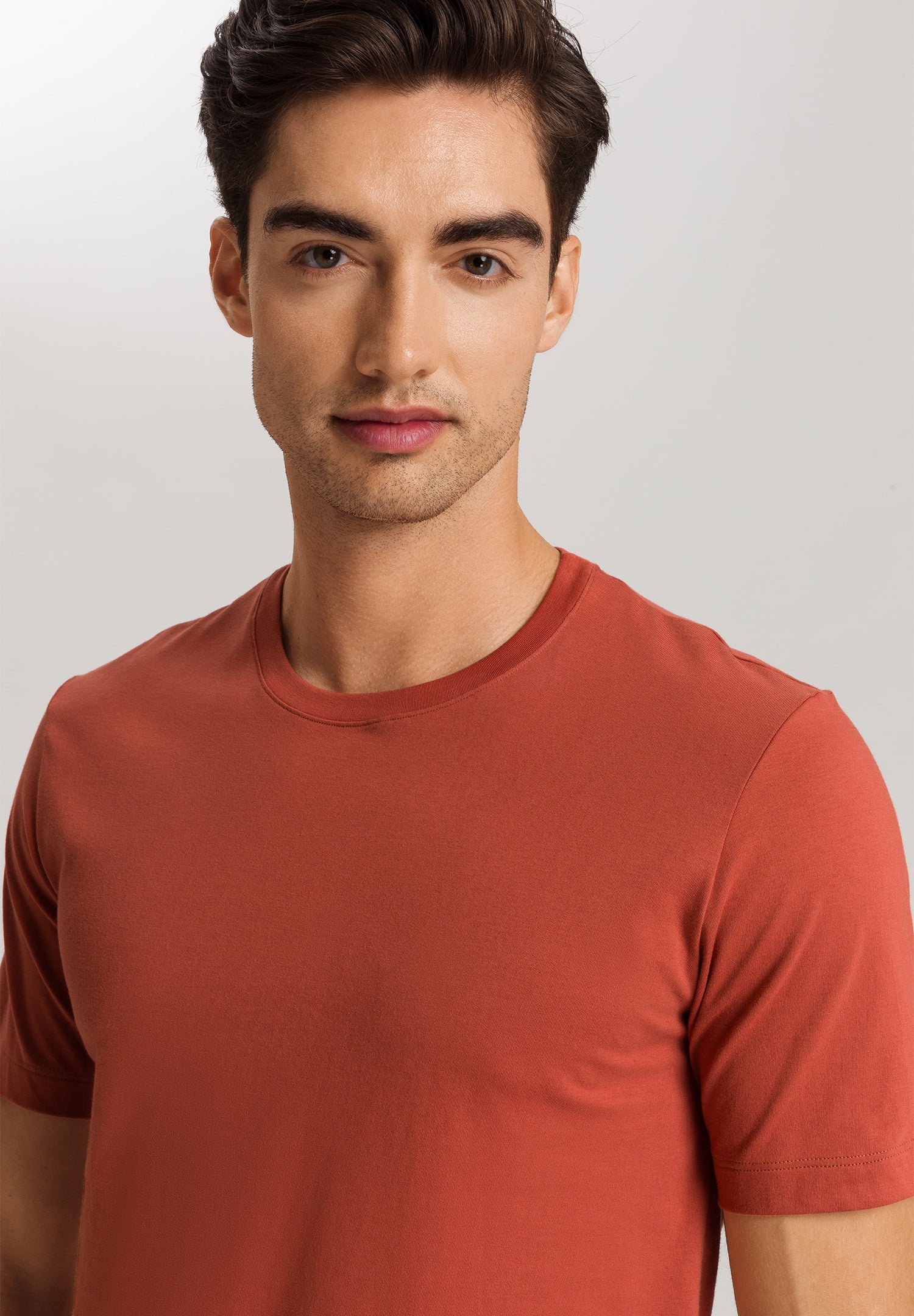 Living Shirts Jersey Cotton Crew Neck T-Shirt | Chutney 75050-2299