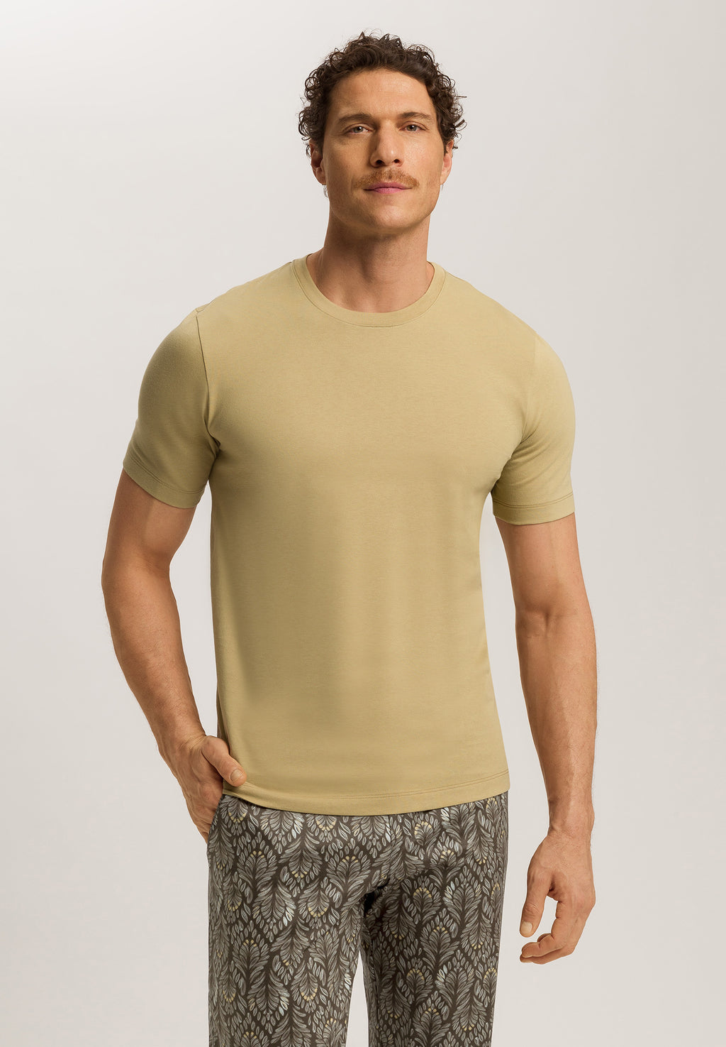 Living Shirts Jersey Cotton Crew Neck T-Shirt | Cardamom 75050-2728
