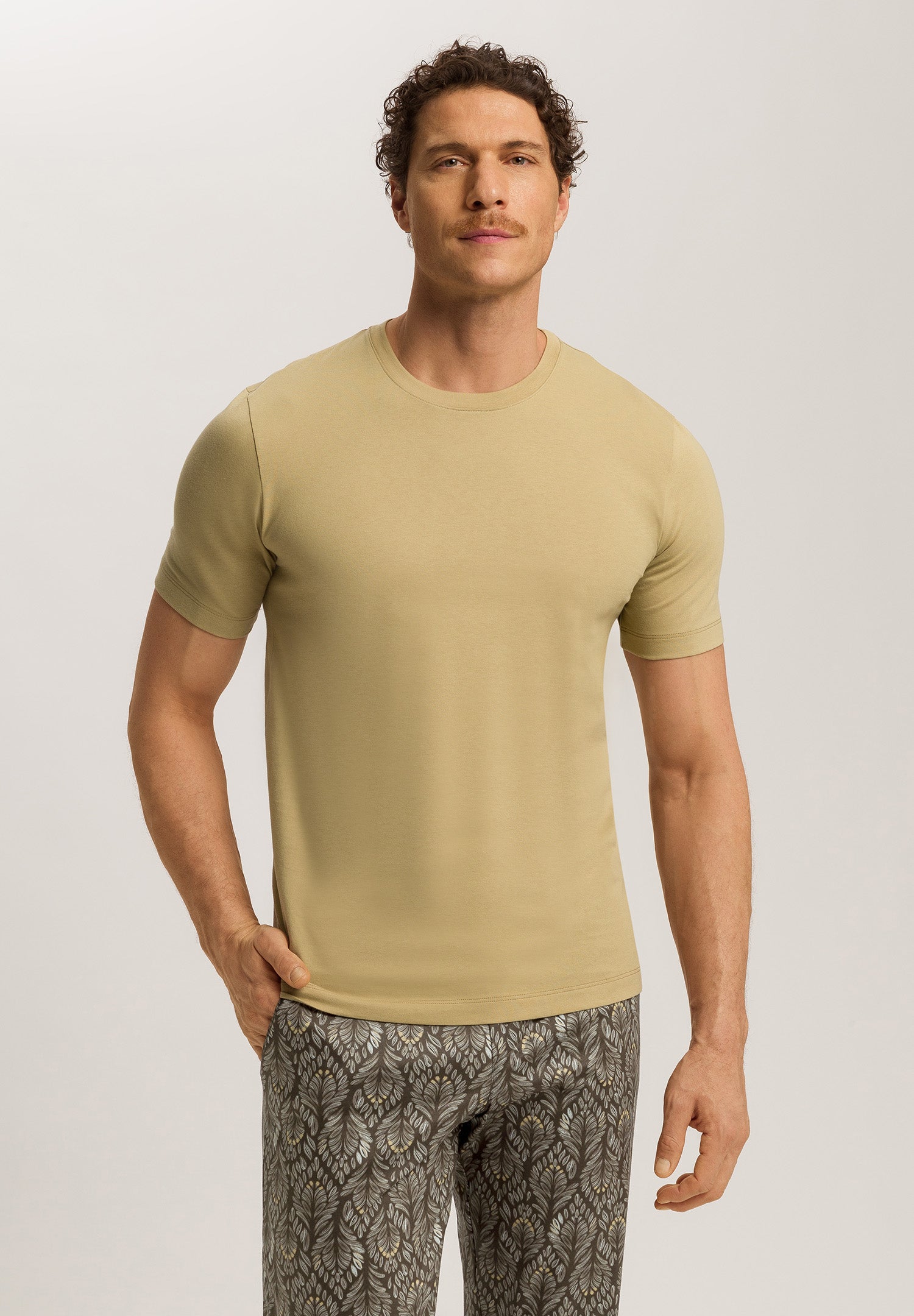 Living Shirts Jersey Cotton Crew Neck T-Shirt | Cardamom 75050-2728