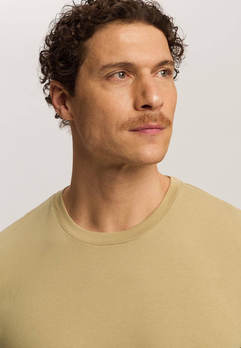 Living Shirts Jersey Cotton Crew Neck T-Shirt | Cardamom 75050-2728