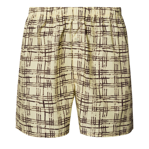 Arthur Arbesser X Hanro Tartan Cotton Boxers | Tartan Print 76369-3069