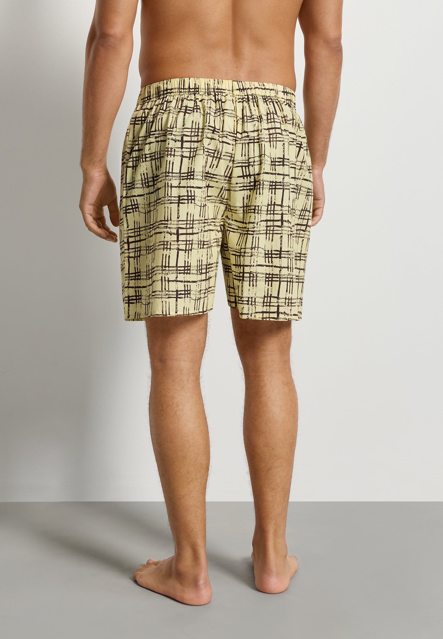 Arthur Arbesser X Hanro Tartan Cotton Boxers | Tartan Print 76369-3069