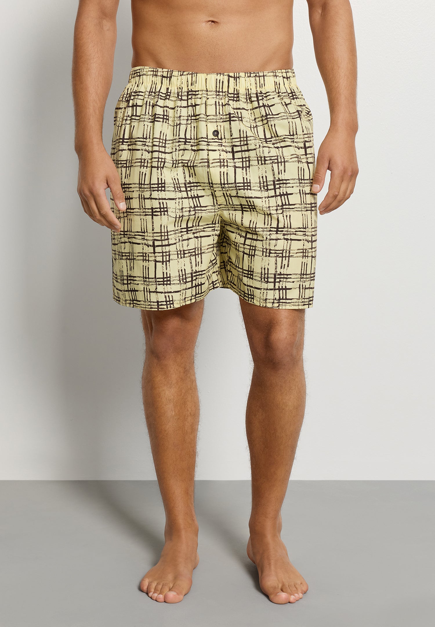 Arthur Arbesser X Hanro Tartan Cotton Boxers | Tartan Print 76369-3069