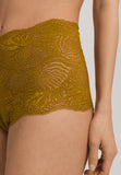 Luxury Moments Boyleg | Kelp Gold 79510-1853