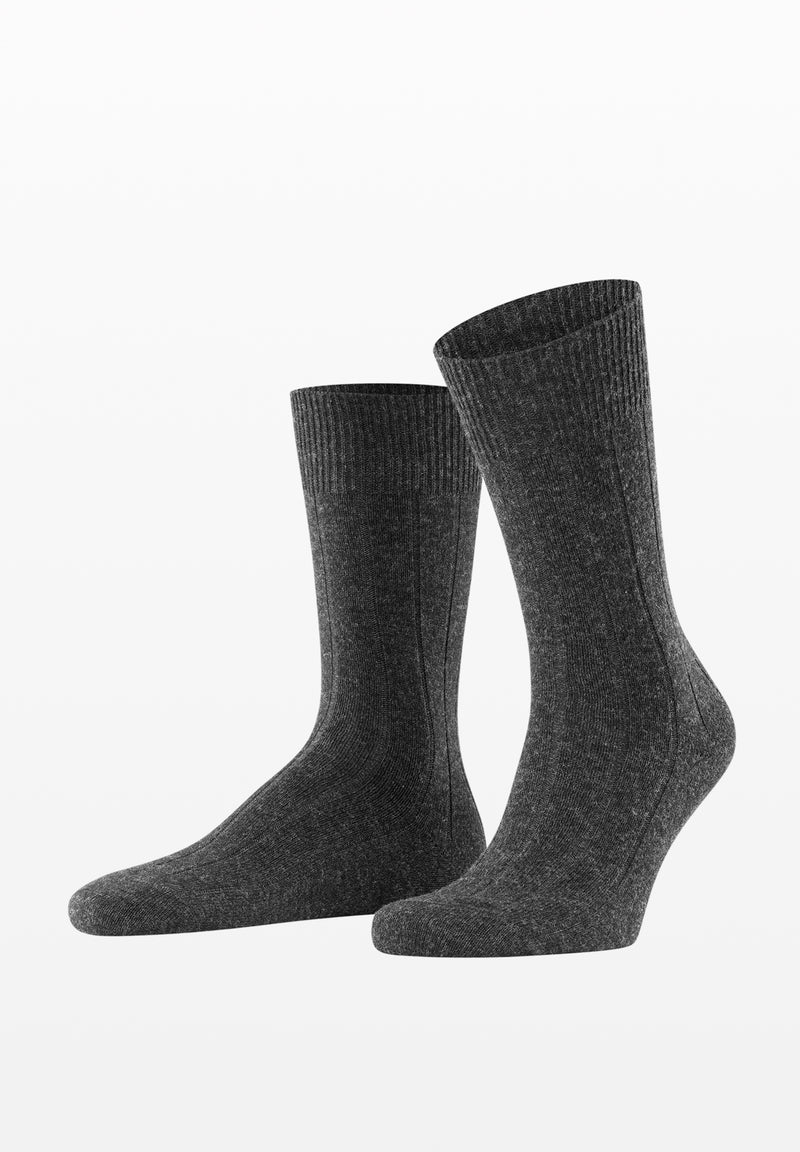 Pair of gray socks on a white background